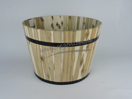  Kuip Acacia, Hoog, Groot