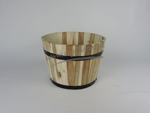  Kuip Acacia, Hoog, Klein