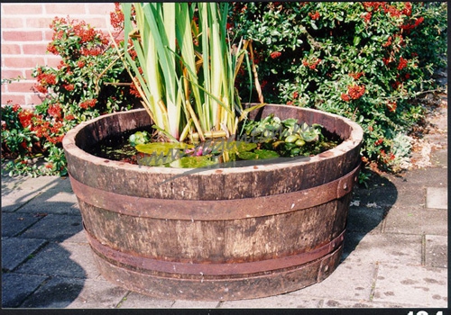  Waterbak Eiken groot + 400 l onbewerkt