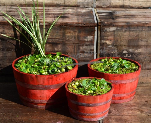  Kuipen set nieuw rood 3 stuks