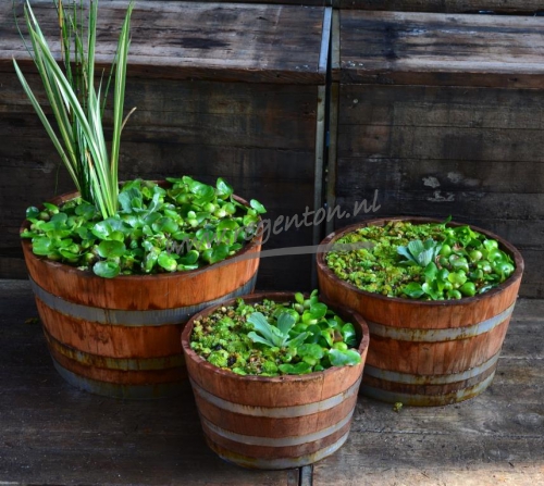  Kuipen set nieuw oranje 3 stuks