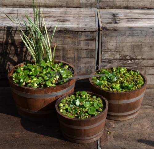  Kuipen set nieuw bruin 3 stuks