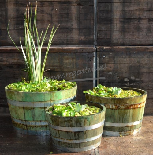  Kuipen set nieuw groen 3 st.