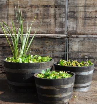  Kuipen set nieuw zwart 3 stuks